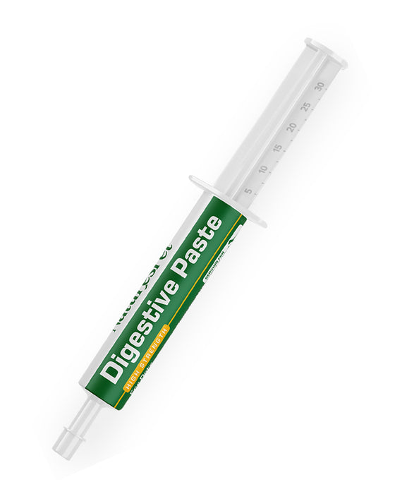 Digestive Support Paste for Dogs & Cats – Probiotics with Prebiotics for Gut Health Support, 60ml Oral Paste