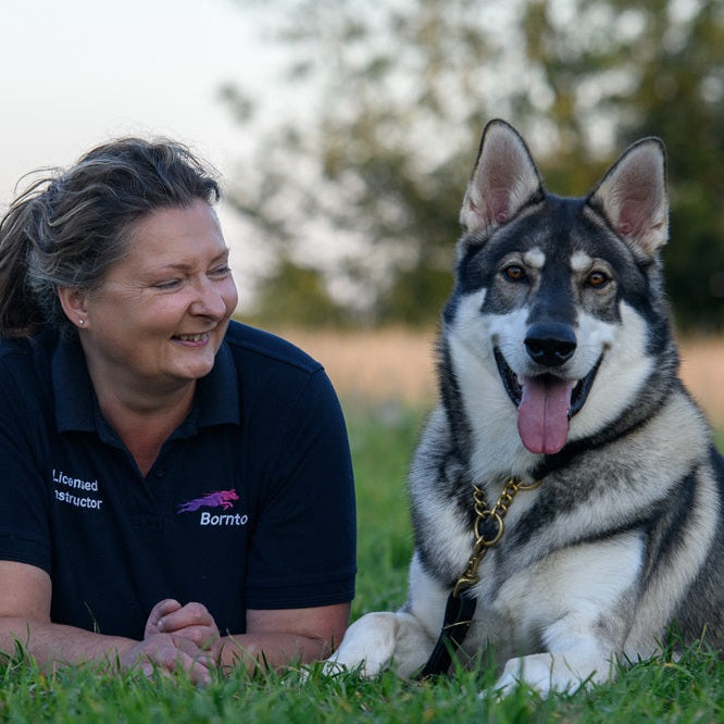 Introducing Angela Day: Supporting Dogs from the Inside Out