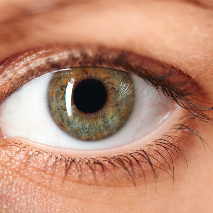 The Ultimate Guide to Eye Vitamin: Keep Your Vision Sharp and Healthy!