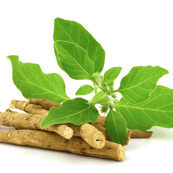 Ashwagandha | Natures Zest