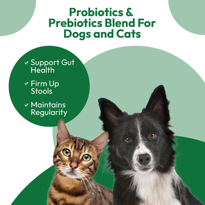 Digestive Care Probiotic Paste – with Prebiotics for Dogs and Cats - 60ml Oral Paste