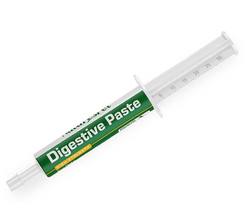 Digestive Care Probiotic Paste – with Prebiotics for Dogs and Cats - 60ml Oral Paste