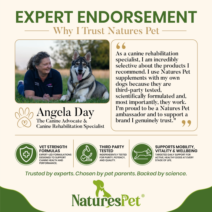 Digestive Support Paste for Dogs & Cats – Probiotics with Prebiotics for Gut Health Support, 60ml Oral Paste