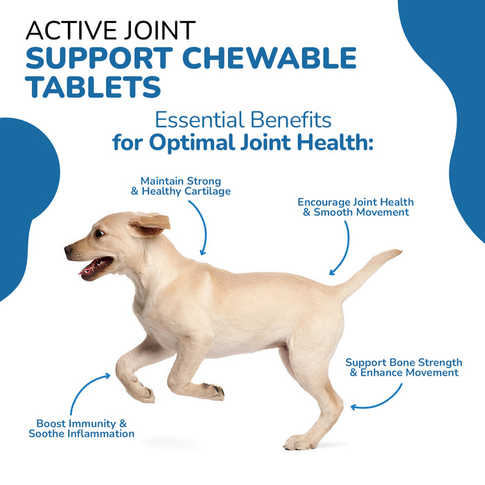 FlexiPaws for Dogs - Advanced Joint Care Supplement for Dogs - 120 Chewable Tablets