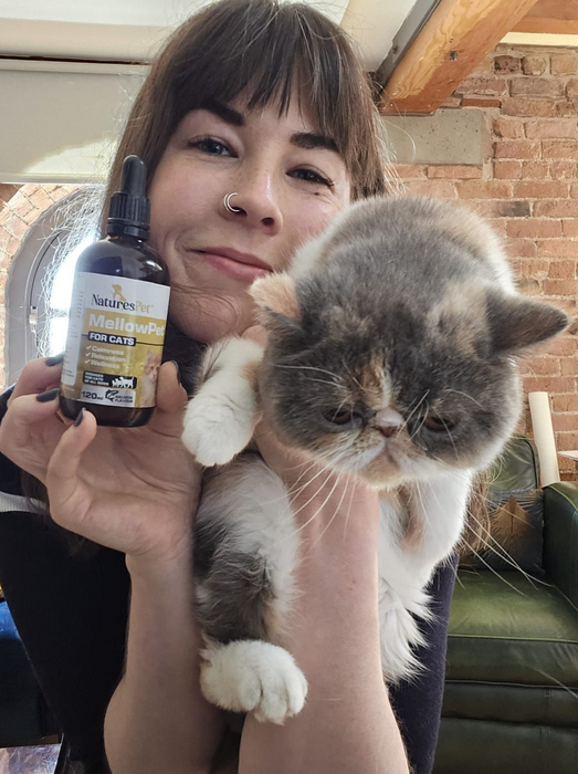 Cat Calming Drops for Stress & Anxiety Relief Support – MellowPet Advanced 120ml Liquid Formula for Relaxation & Behaviour Support