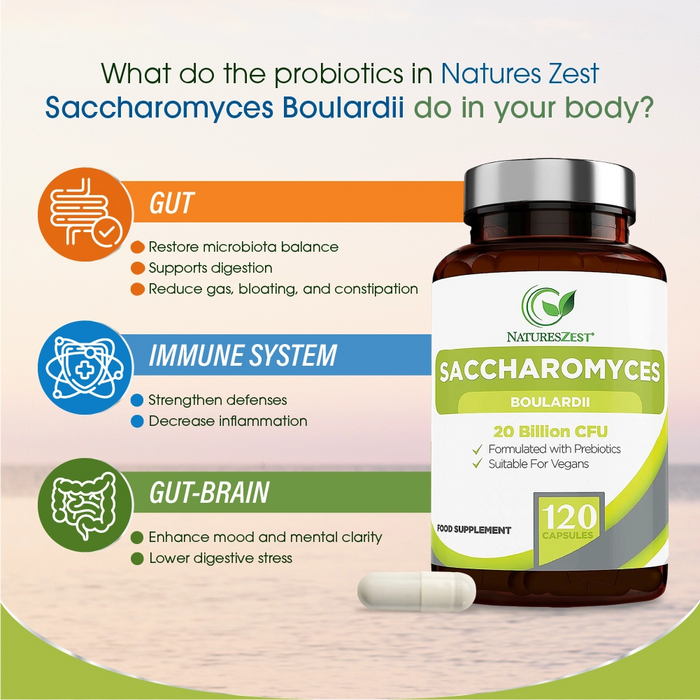 Probiotic for Travel & Post-Antibiotic Support – Saccharomyces Boulardii 20 Billion CFU with Prebiotics, 120 Capsules