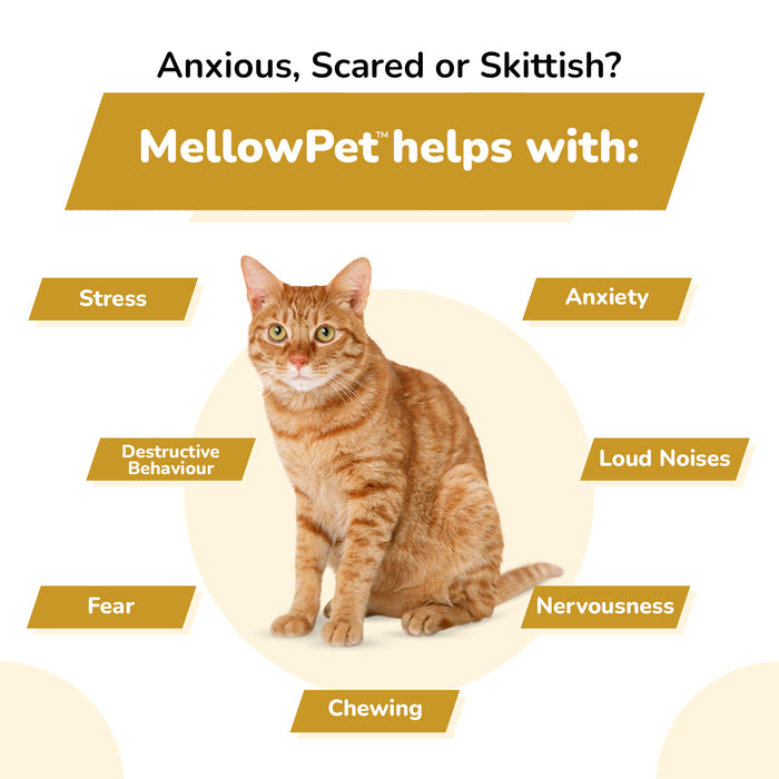 MellowPet for Cats – Advanced Calming Supplement for Stress and Anxiety 120ml Liquid