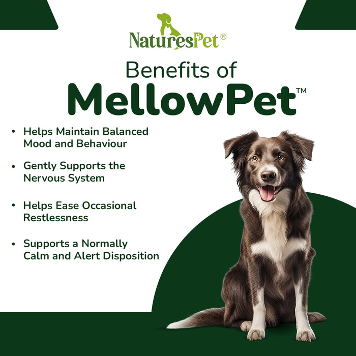 MellowPet for Dogs – Advanced Calming Supplement for Stress and Anxiety 120ml Liquid