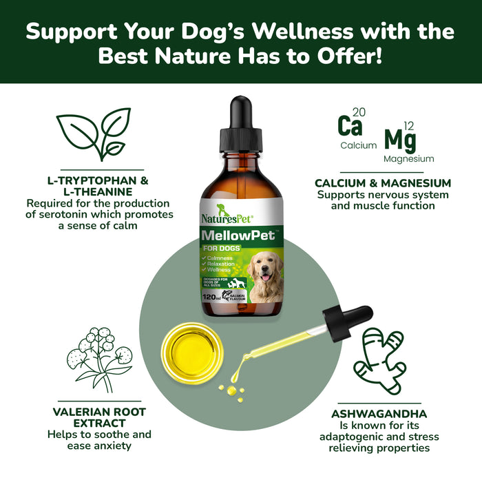 MellowPet for Dogs – Advanced Calming Supplement for Stress and Anxiety 120ml Liquid