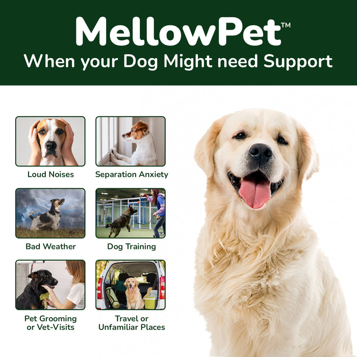 MellowPet for Dogs – Advanced Calming Supplement for Stress and Anxiety 120ml Liquid