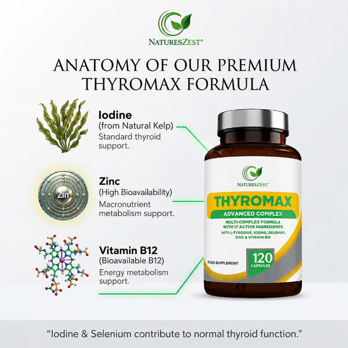 Thyroid Support Supplement for Energy, Metabolism & Normal Hormone Production – 120 Vegan Capsules for Women & Men