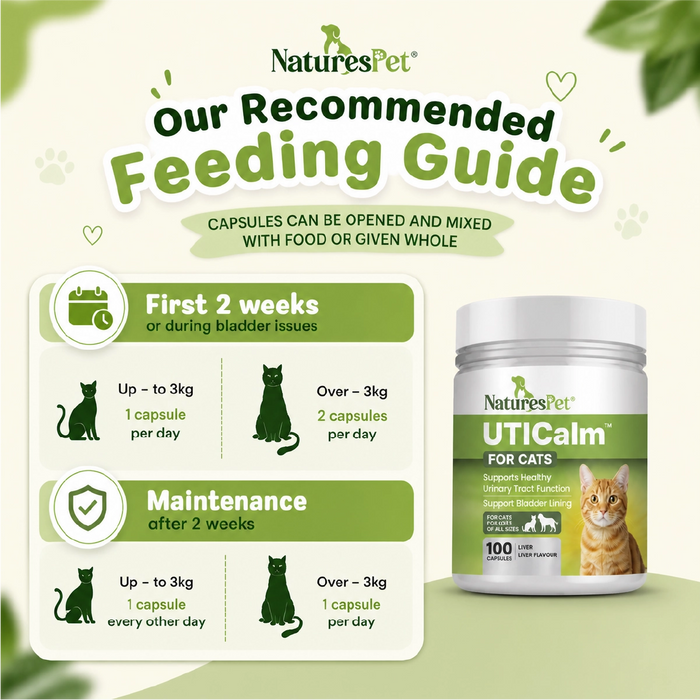 Cat UTI & Bladder Support Supplement – UTICalm Advanced 100 Liver Flavoured Sprinkle Capsules for Urinary Tract Health